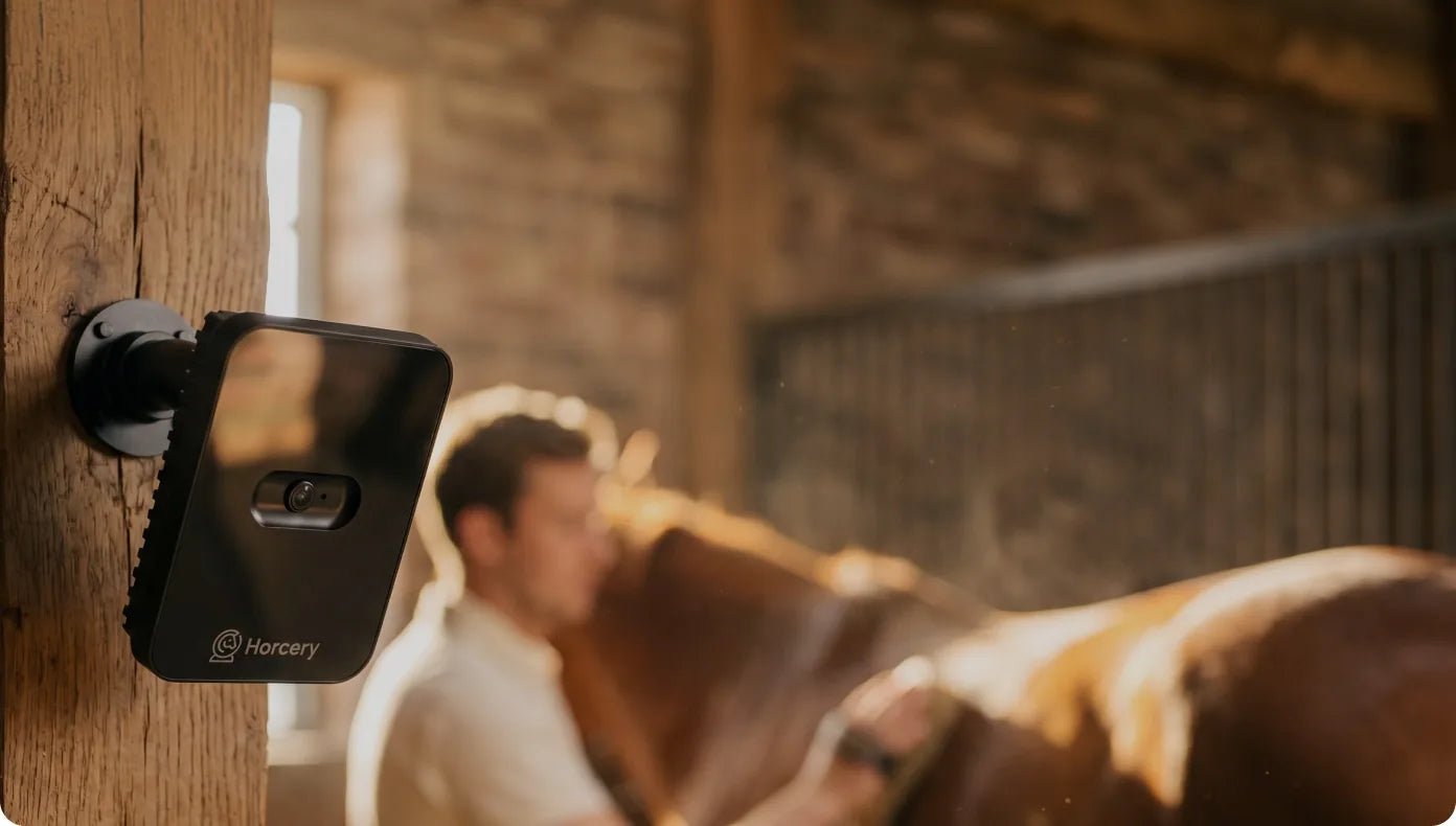 Horcery Stall Monitor mounted in a barn