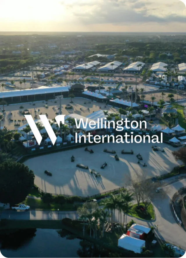 Wellington International