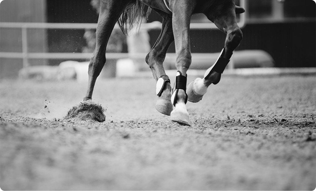 Close-up of a horse’s legs kicking up dirt while galloping across an arena, captured mid-stride.
