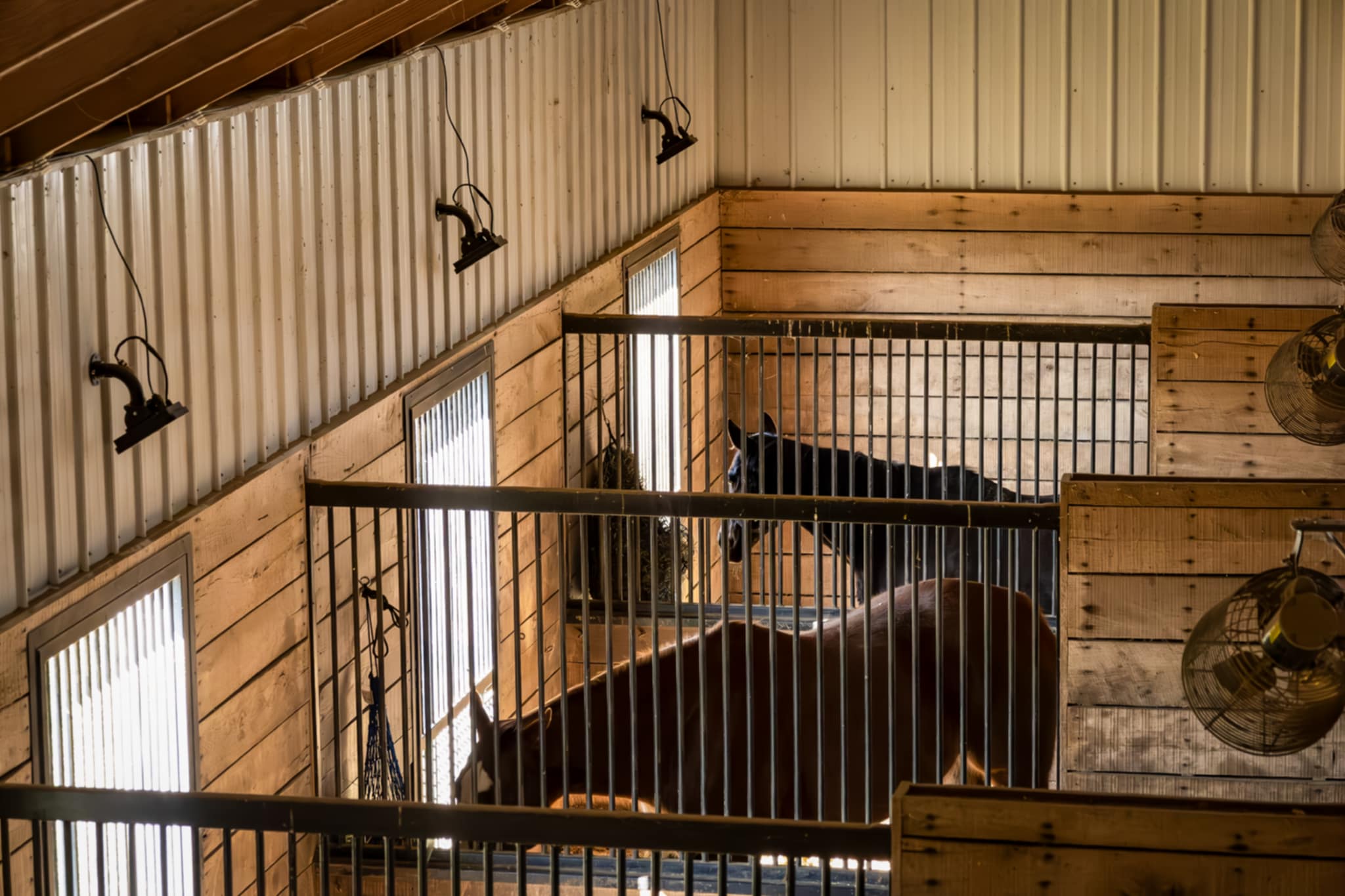A Horcery Alert notification reads: “3 people have entered Stall 3 in the last hour. Tap to view video of each entry.” Below it, a live video feed shows a person cleaning a horse stall named Thunder, timestamped 4 July 2025, 2:19 PM. The background features a blurred stable interior with wooden walls and hanging lights.