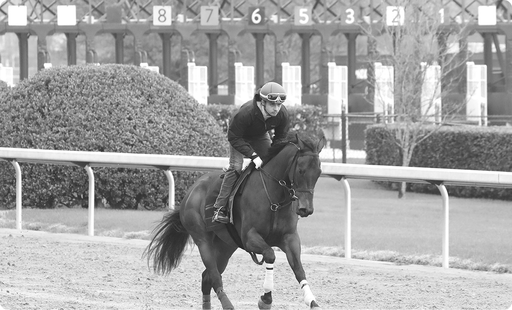 A jockey rides a racehorse along a dirt track during early morning training, with starting gates visible in the background at a racetrack facility.