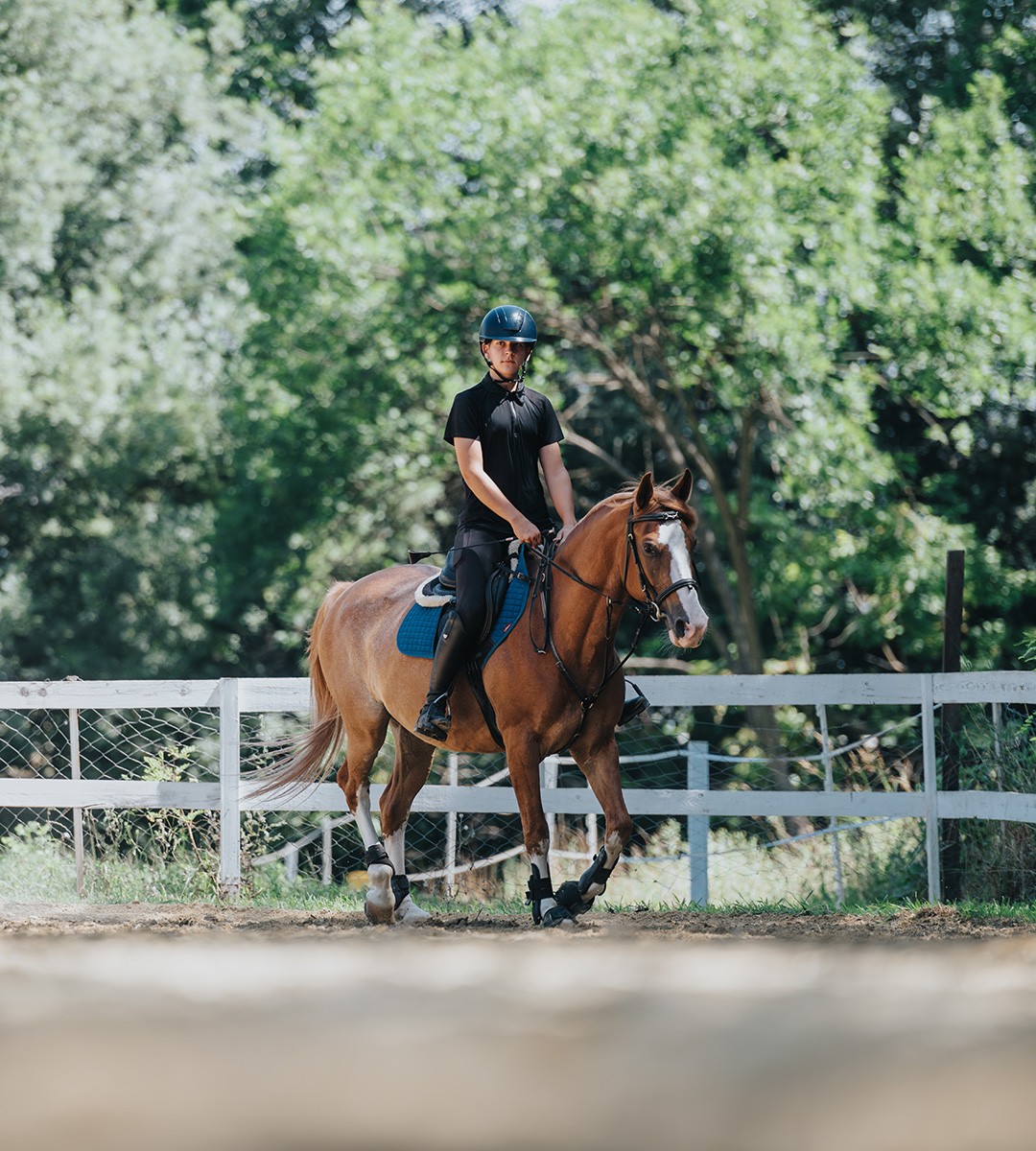 A young female equestrian in a helmet and riding vest stands next to a brown horse with a white blaze, looking up at it affectionately. A “Book A Demo” button appears in the bottom left corner alongside bold white text reading “Know More. Do More. Care Smarter.” in a natural outdoor setting.