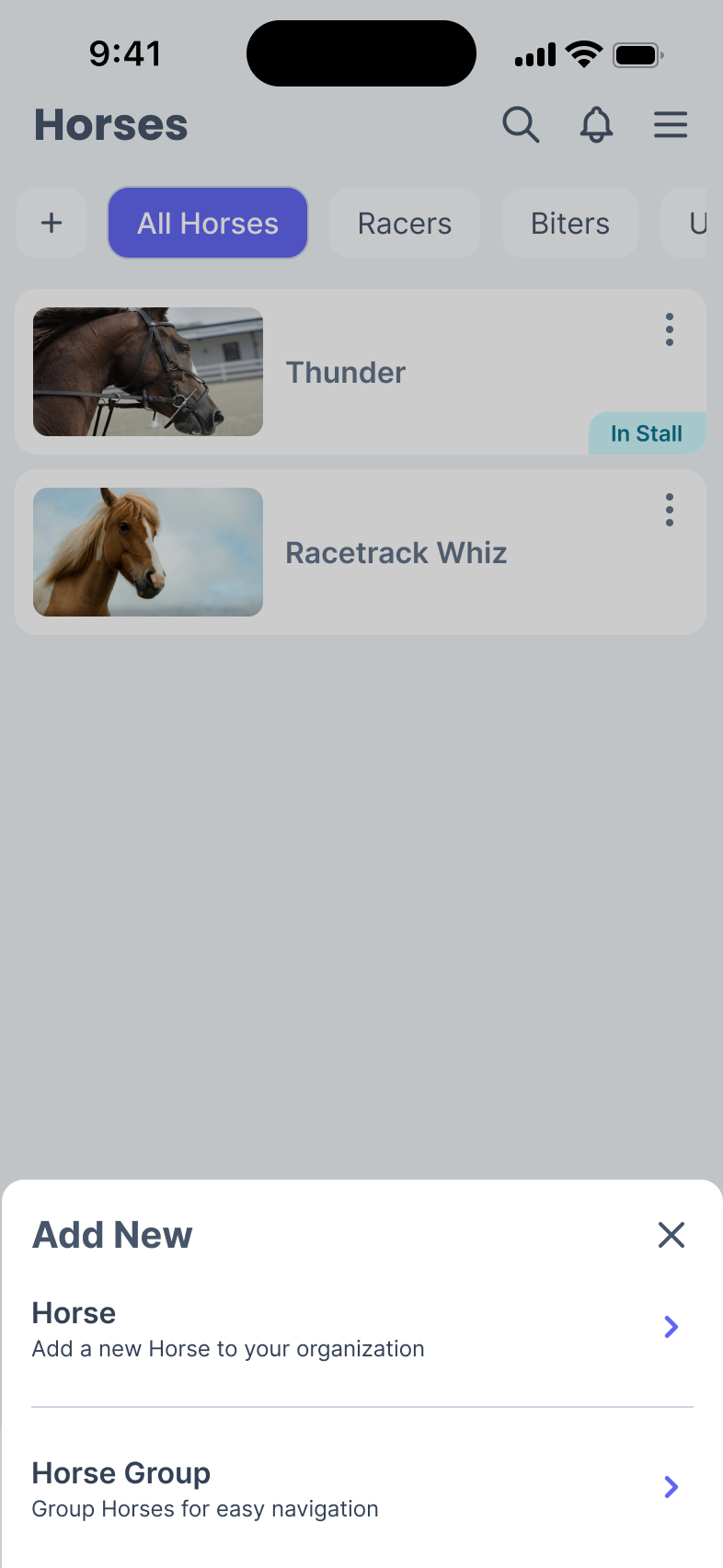 Phone screen with a pop-up showing options to add a new horse or horse group