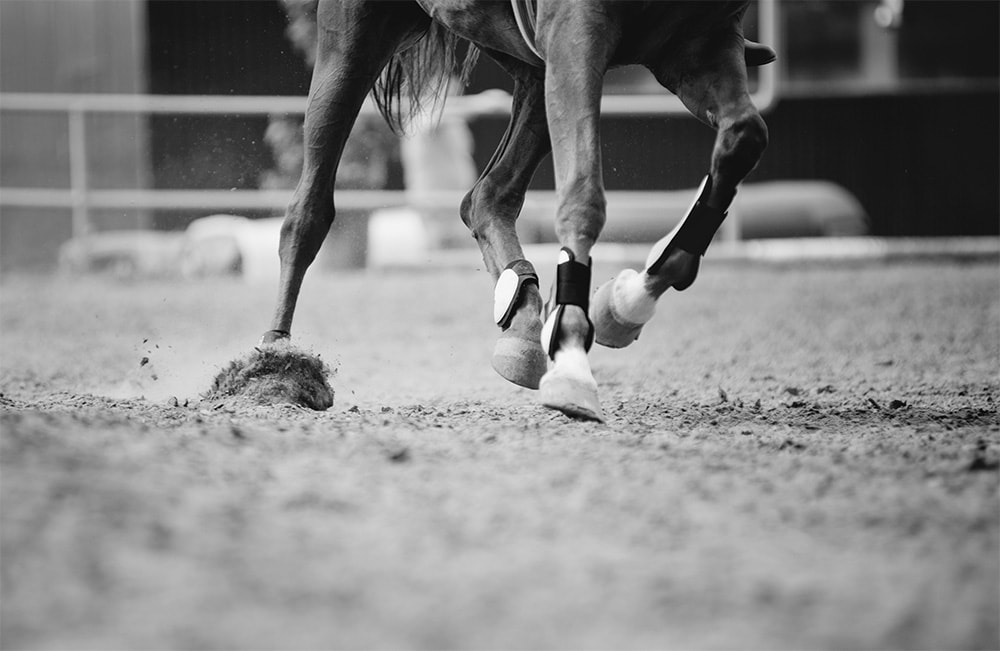 Close-up of a horse’s legs kicking up dirt while galloping across an arena, captured mid-stride.