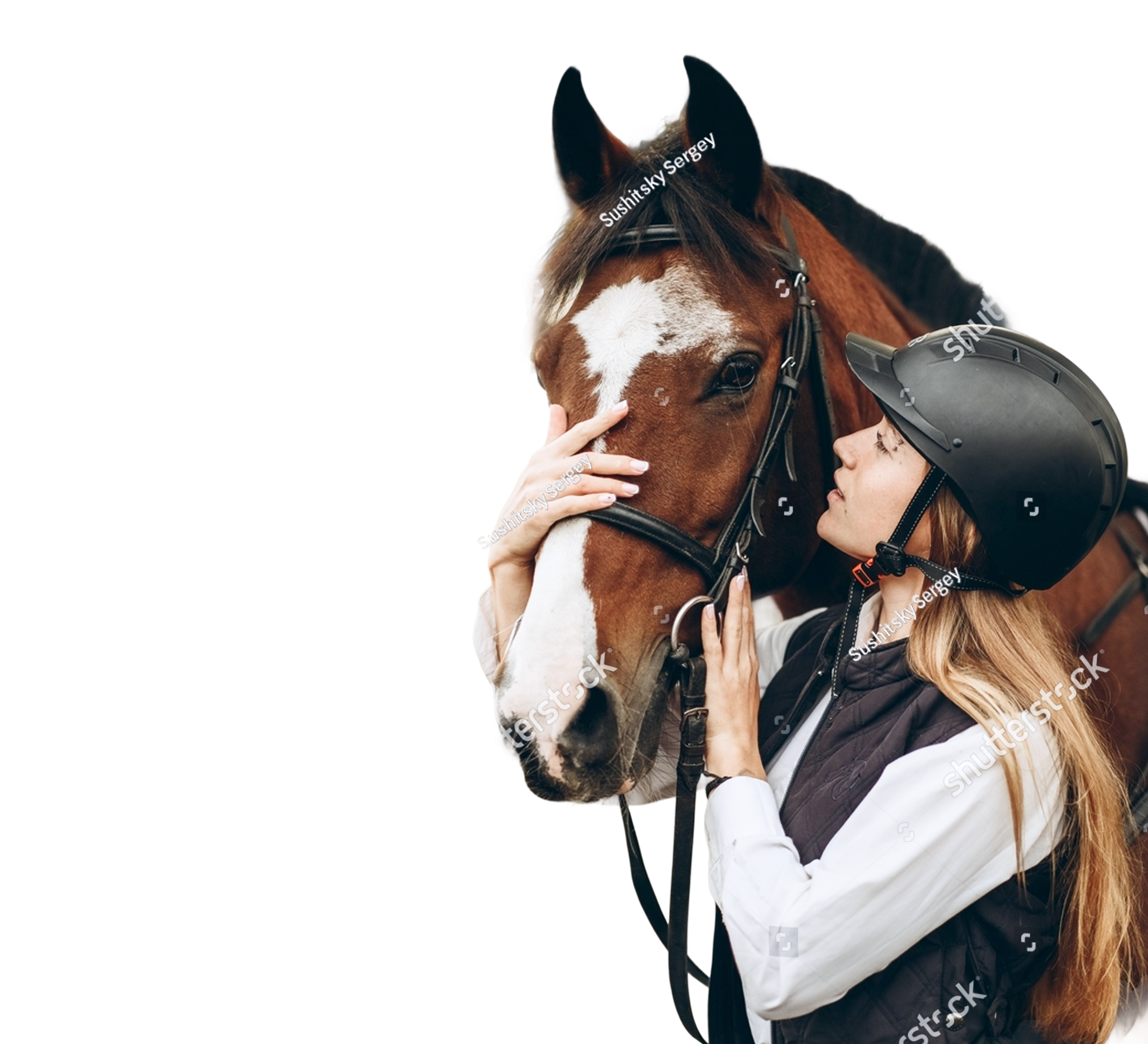 A young woman in a riding helmet gently holds the face of a black horse with a white star marking, showing a close bond. Overlaid on the image are three data charts displaying weekly trends in Activeness (marked as “Higher”), Rolling (marked as “Alert”), and Human Presence (marked as “Usual”) using icons, color-coded bars, and weekday labels.
