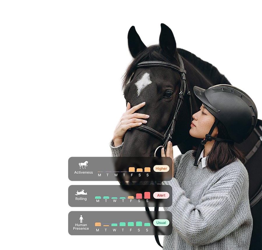 A young woman in a riding helmet gently holds the face of a black horse with a white star marking, showing a close bond. Overlaid on the image are three data charts displaying weekly trends in Activeness (marked as “Higher”), Rolling (marked as “Alert”), and Human Presence (marked as “Usual”) using icons, color-coded bars, and weekday labels.