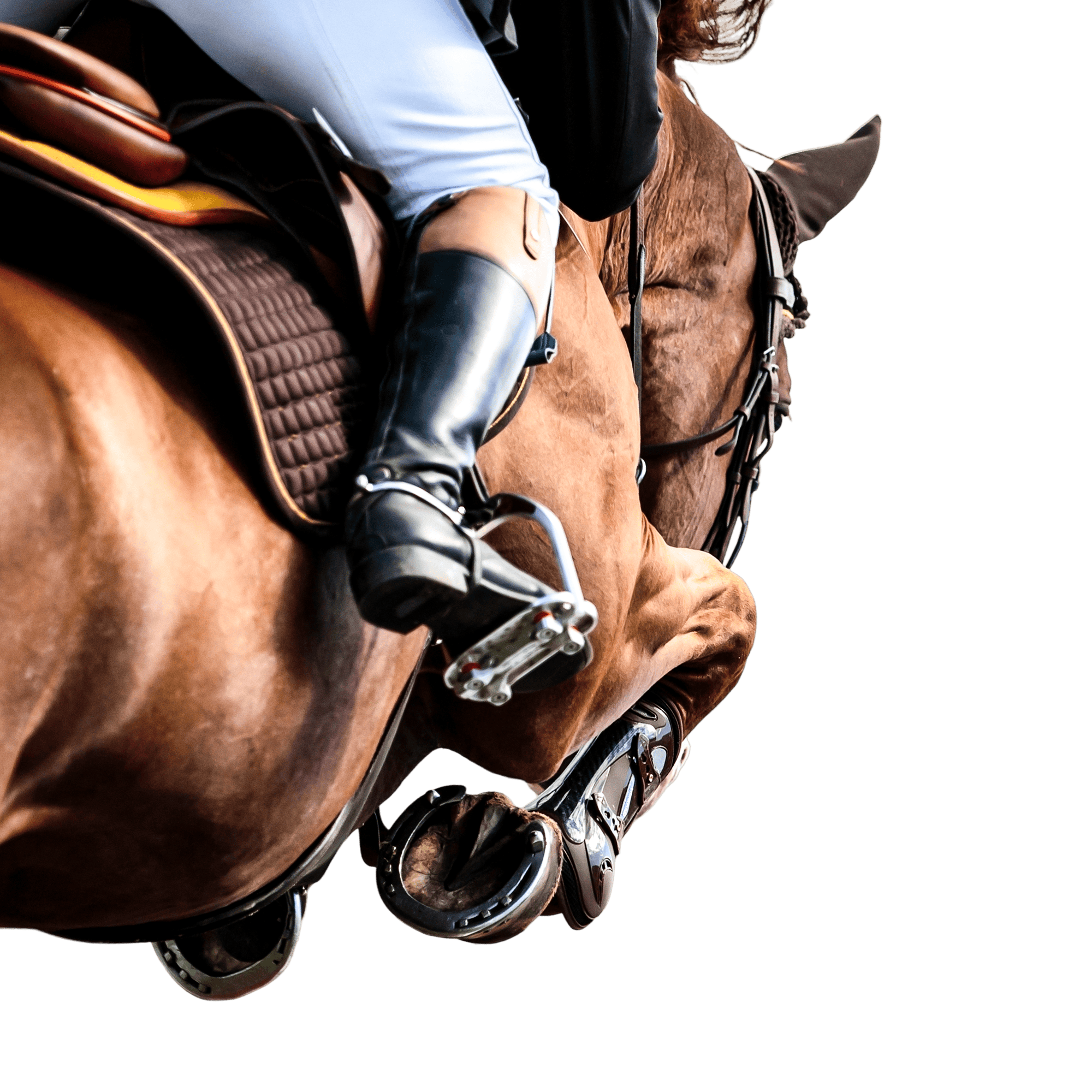 A close-up view of a rider in tall black boots mounted on a chestnut horse, captured mid-ride. Overlaid on the right is a circular graph showing “19 h Time in Stall,” with breakdowns: Out of Stall, Awake, and Resting, each in color-coded progress bars.