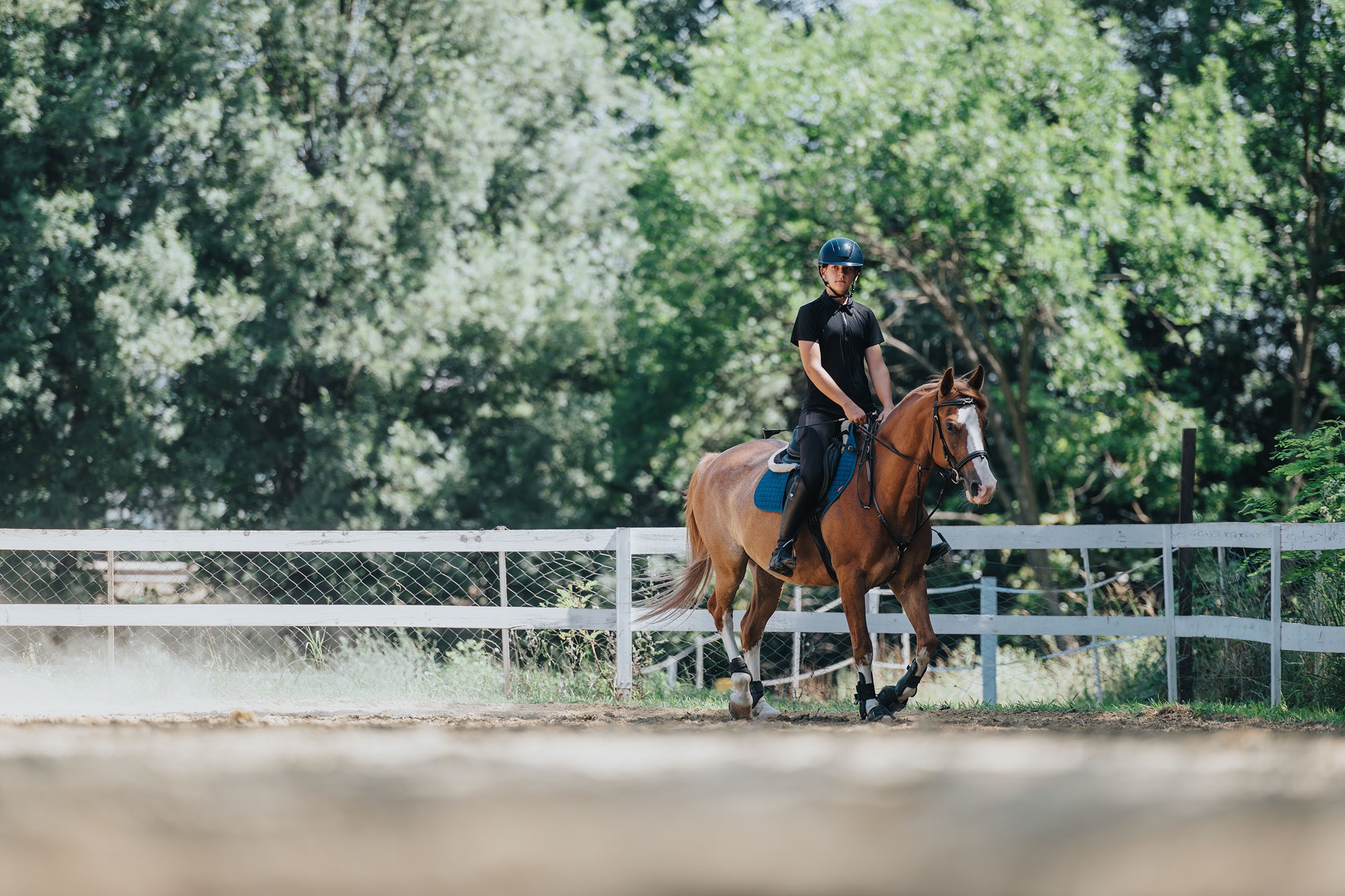A young female equestrian in a helmet and riding vest stands next to a brown horse with a white blaze, looking up at it affectionately. A “Book A Demo” button appears in the bottom left corner alongside bold white text reading “Know More. Do More. Care Smarter.” in a natural outdoor setting.