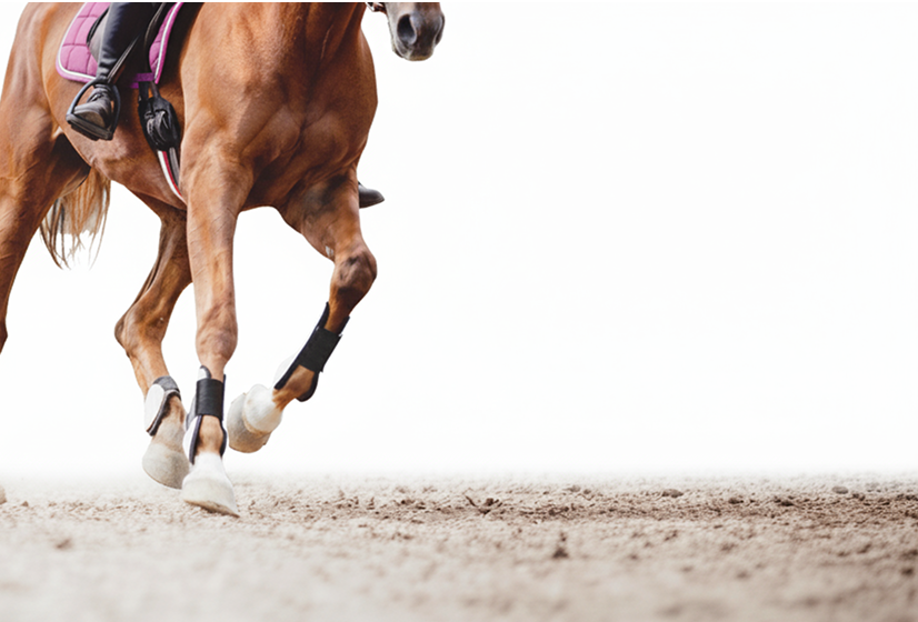 Dynamic image of a horse's legs as it runs across a track, kicking up dirt