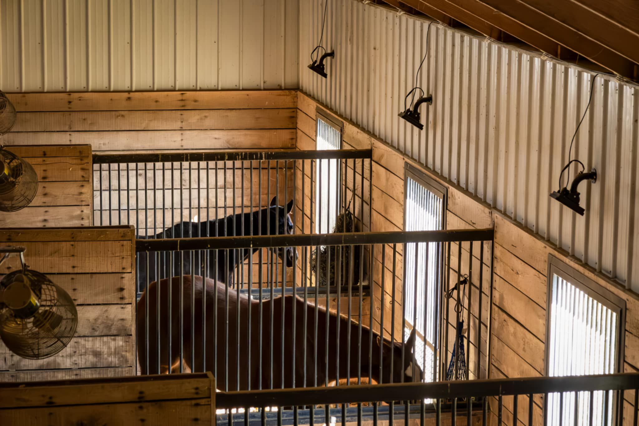 A Horcery Alert notification reads: “3 people have entered Stall 3 in the last hour. Tap to view video of each entry.” Below it, a live video feed shows a person cleaning a horse stall named Thunder, timestamped 4 July 2025, 2:19 PM. The background features a blurred stable interior with wooden walls and hanging lights.