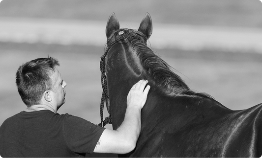Horcery and the National HBPA: A Partnership for the Future of Horse Racing