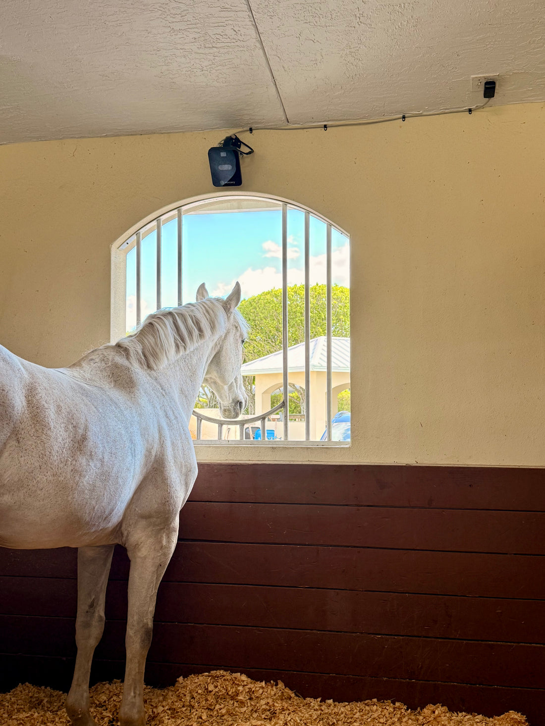 The Stall Monitor