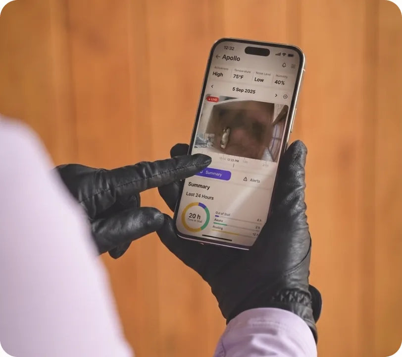 Connect the app